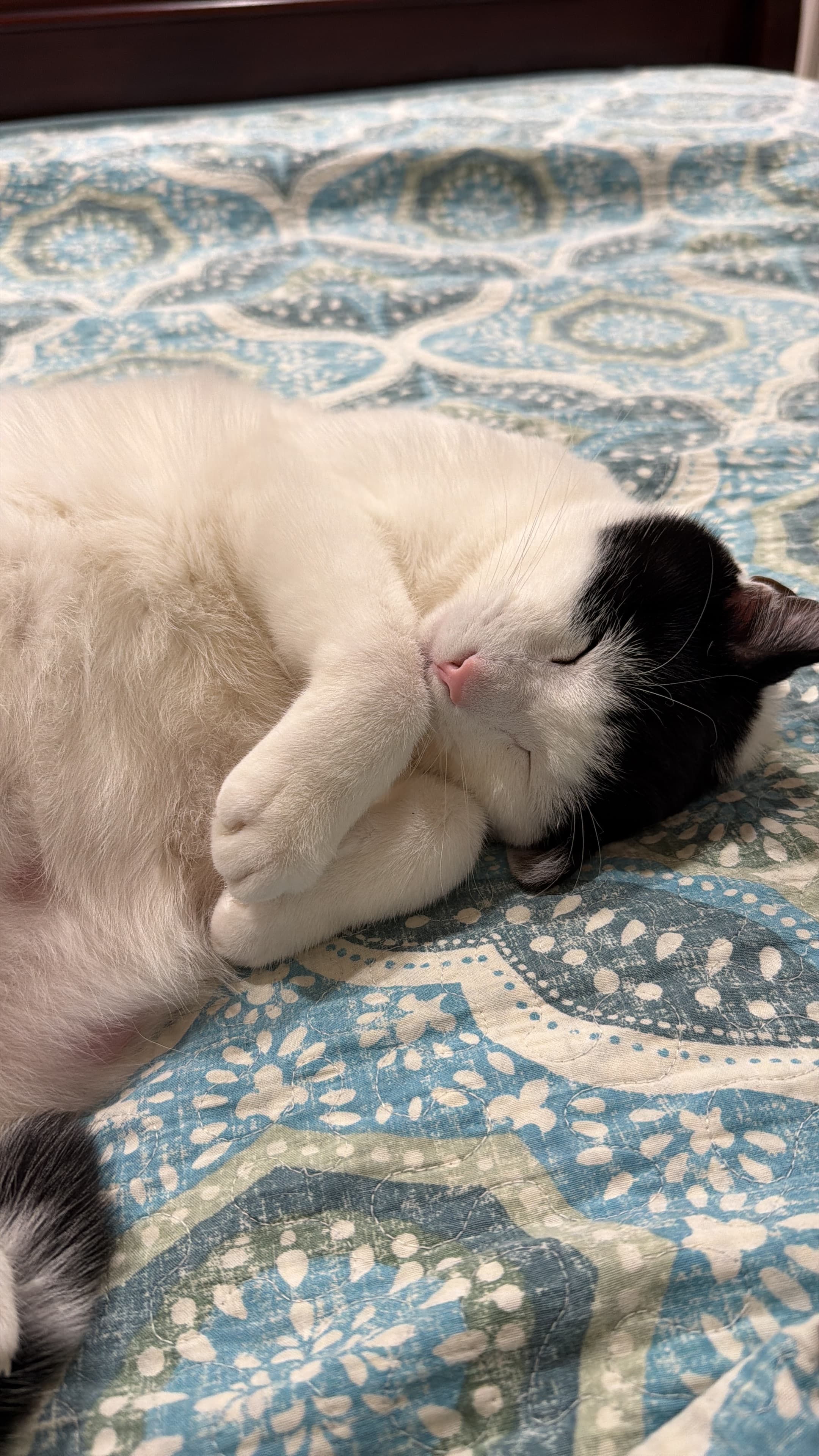 Venti's Slumber